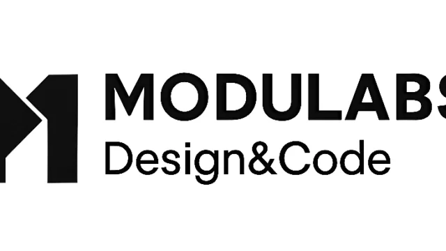 logo MODULABS black NISKI